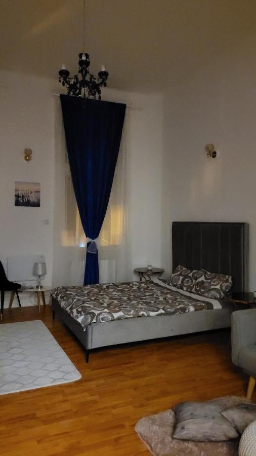 Opera Victoriei Residence - Ultracentral Cozy Accommodation Тимишоара Экстерьер фото