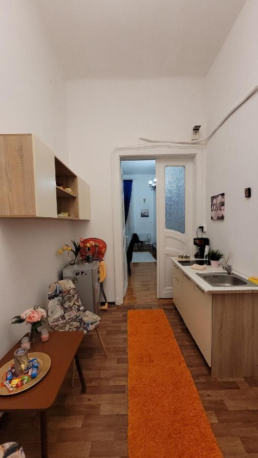 Opera Victoriei Residence - Ultracentral Cozy Accommodation Тимишоара Экстерьер фото